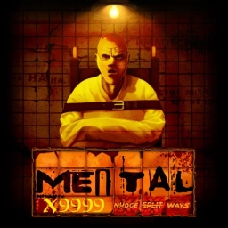 mental slot cover