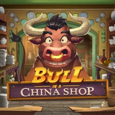 bull in a china shop logo