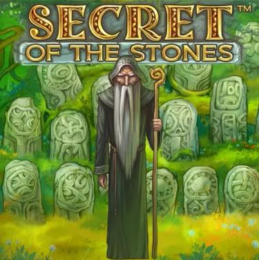 druid standing surrounded by stones
