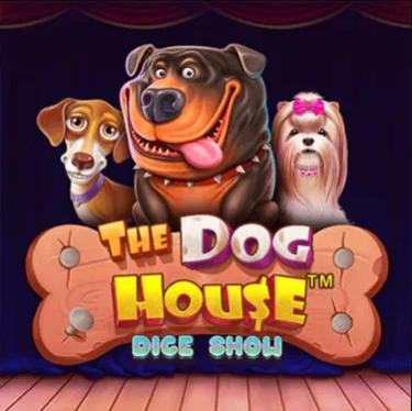dog house dice show