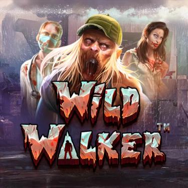 wild walker logo photo