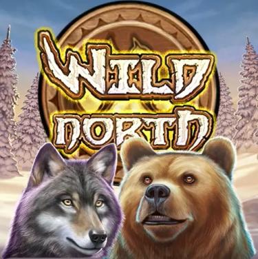 wild north slot logo