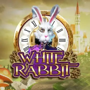 white rabbit slot logo