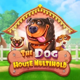 the dog house multihold slot happy dogs in the yard