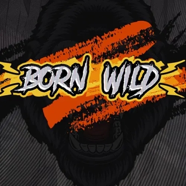 born wild born wild