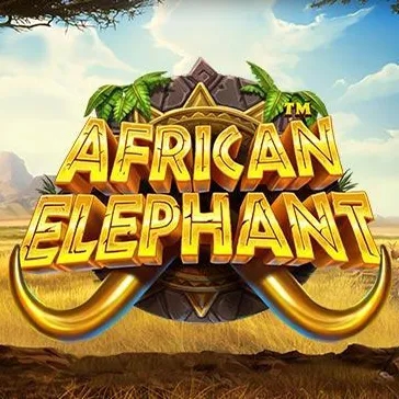 african elephant african elephant
