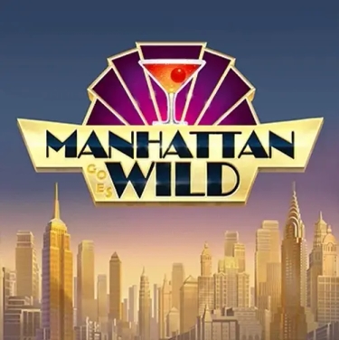manhattan wild manhattan wild and a martini glass cocktail