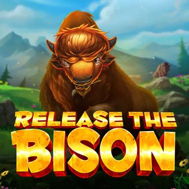 bison in the wild